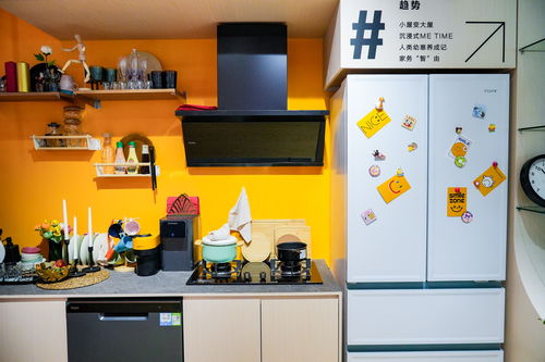 從賣產品到生活秀場 2024年家電行業深入注意力經濟