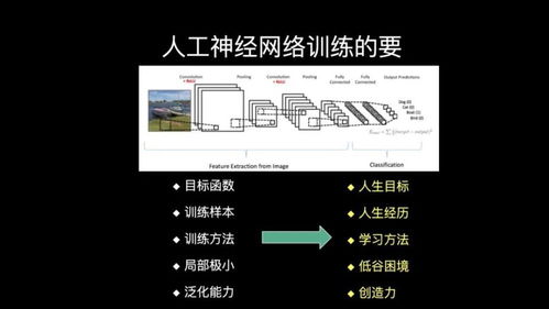 從人工神經網絡的發展，探索腦網絡優化的路徑與人工智能基礎軟件開發